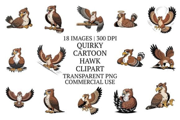Evaluating the Quirky Cartoon Hawk Clipart 18 PNG Bundle for Professional and Personal Design Projects